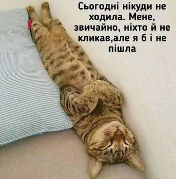 https://upforme.ru/uploads/001a/b7/a9/3/t181439.jpg