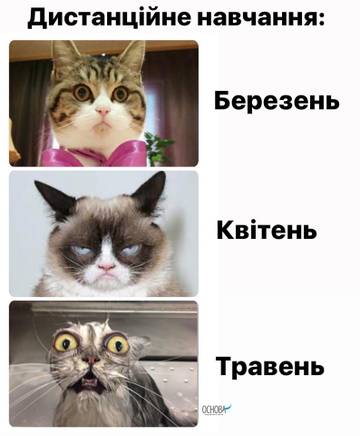 https://upforme.ru/uploads/001a/b7/a9/3/t184770.jpg