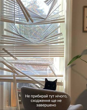https://upforme.ru/uploads/001a/b7/a9/3/t185274.jpg