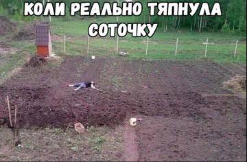 https://upforme.ru/uploads/001a/b7/a9/3/t217427.jpg