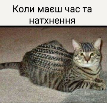 https://upforme.ru/uploads/001a/b7/a9/3/t255390.jpg