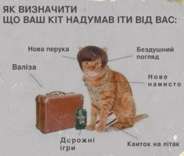 https://upforme.ru/uploads/001a/b7/a9/3/t256020.png