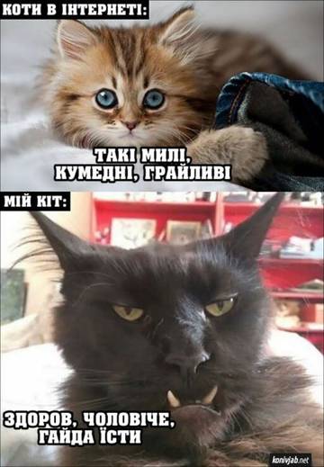https://upforme.ru/uploads/001a/b7/a9/3/t258094.jpg