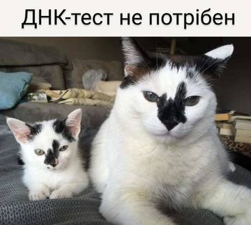 https://upforme.ru/uploads/001a/b7/a9/3/t282523.jpg