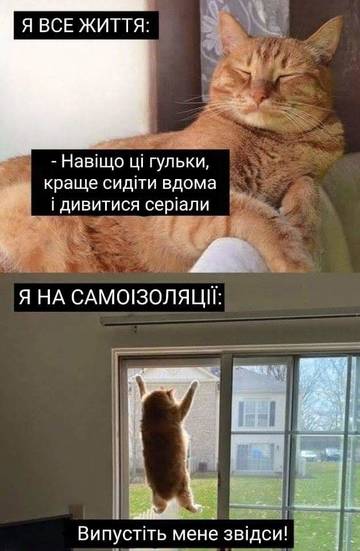 https://upforme.ru/uploads/001a/b7/a9/3/t324925.jpg