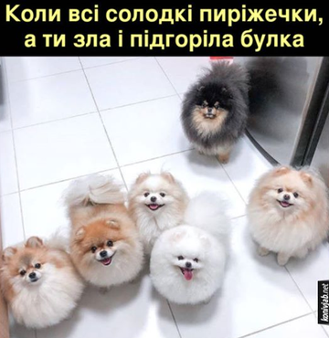 https://upforme.ru/uploads/001a/b7/a9/3/t336862.png