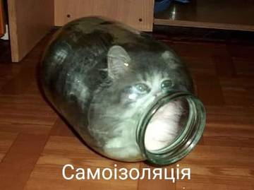 https://upforme.ru/uploads/001a/b7/a9/3/t338776.jpg