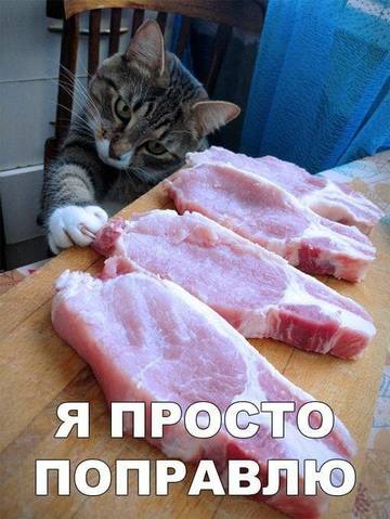 https://upforme.ru/uploads/001a/b7/a9/3/t345722.jpg