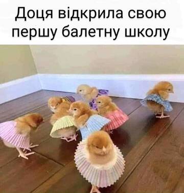 https://upforme.ru/uploads/001a/b7/a9/3/t383192.jpg