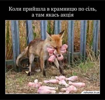 https://upforme.ru/uploads/001a/b7/a9/3/t44031.jpg
