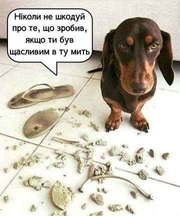 https://upforme.ru/uploads/001a/b7/a9/3/t450264.jpg