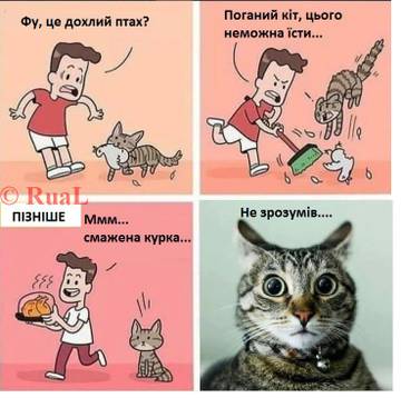 https://upforme.ru/uploads/001a/b7/a9/3/t467819.jpg