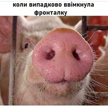 https://upforme.ru/uploads/001a/b7/a9/3/t495878.jpg