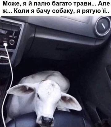 https://upforme.ru/uploads/001a/b7/a9/3/t496108.jpg