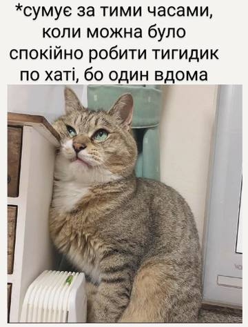 https://upforme.ru/uploads/001a/b7/a9/3/t499091.jpg