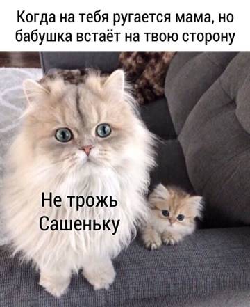 https://upforme.ru/uploads/001a/b7/a9/3/t500091.jpg