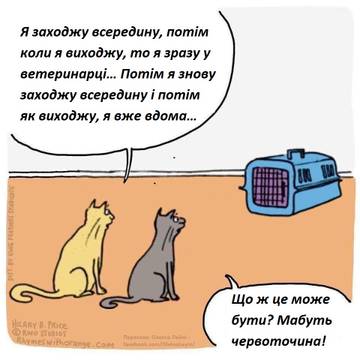 https://upforme.ru/uploads/001a/b7/a9/3/t501963.jpg