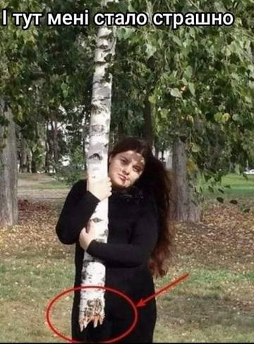 https://upforme.ru/uploads/001a/b7/a9/3/t507735.jpg