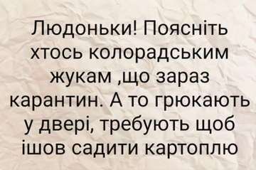 https://upforme.ru/uploads/001a/b7/a9/3/t524984.png