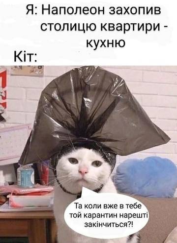 https://upforme.ru/uploads/001a/b7/a9/3/t534727.jpg