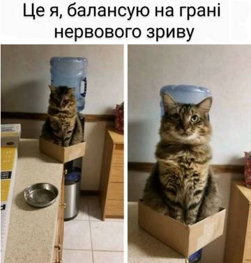 https://upforme.ru/uploads/001a/b7/a9/3/t548551.jpg
