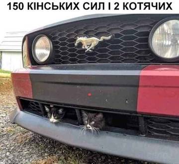 https://upforme.ru/uploads/001a/b7/a9/3/t572420.jpg