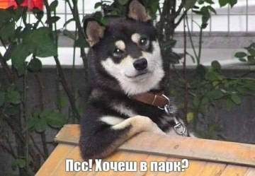 https://upforme.ru/uploads/001a/b7/a9/3/t577132.jpg