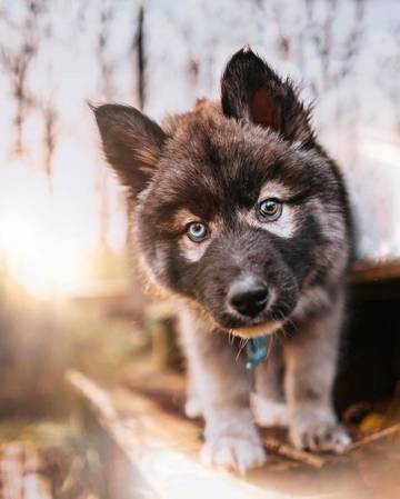 https://upforme.ru/uploads/001a/b7/a9/3/t577698.jpg