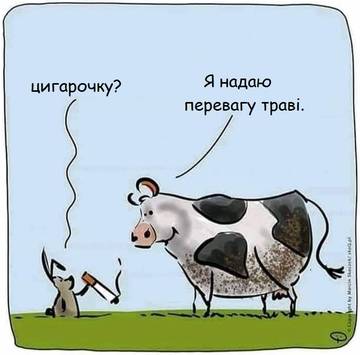 https://upforme.ru/uploads/001a/b7/a9/3/t578069.jpg