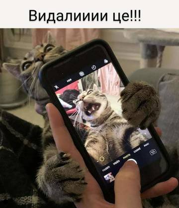 https://upforme.ru/uploads/001a/b7/a9/3/t589232.jpg