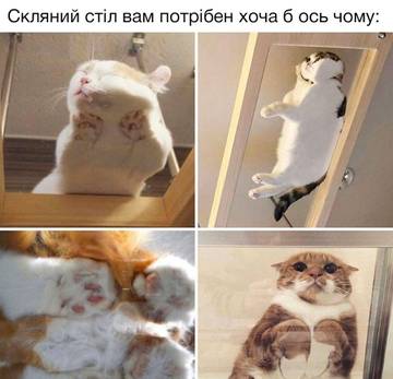 https://upforme.ru/uploads/001a/b7/a9/3/t619341.jpg