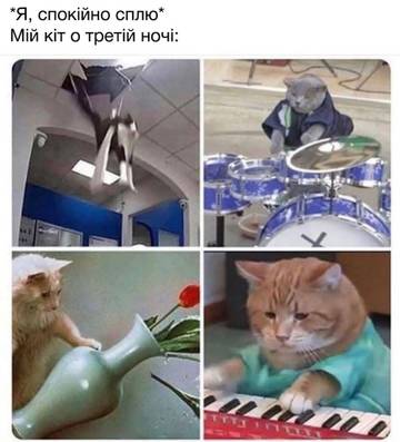 https://upforme.ru/uploads/001a/b7/a9/3/t653207.jpg