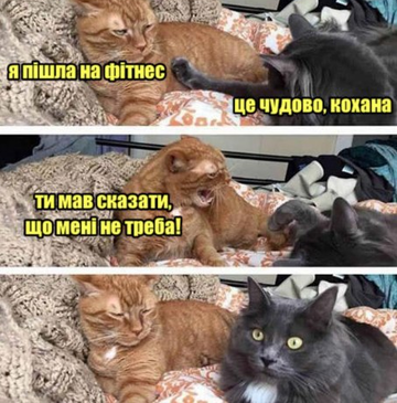 https://upforme.ru/uploads/001a/b7/a9/3/t672286.png