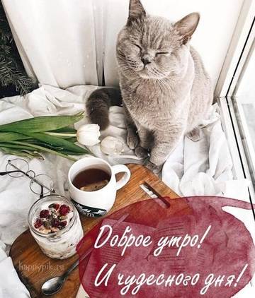 https://upforme.ru/uploads/001a/b7/a9/3/t686075.jpg