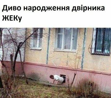 https://upforme.ru/uploads/001a/b7/a9/3/t725394.jpg