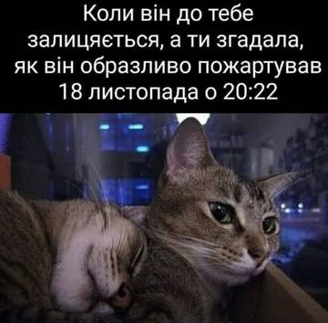 https://upforme.ru/uploads/001a/b7/a9/3/t726535.jpg