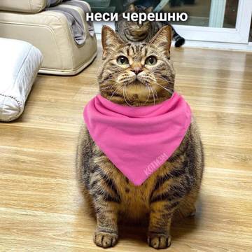 https://upforme.ru/uploads/001a/b7/a9/3/t727888.jpg