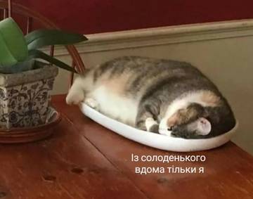 https://upforme.ru/uploads/001a/b7/a9/3/t732684.jpg