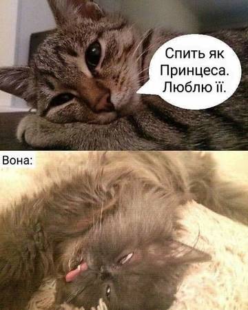 https://upforme.ru/uploads/001a/b7/a9/3/t769154.jpg