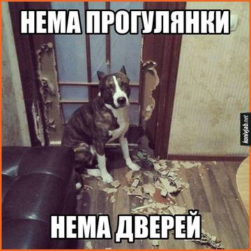 https://upforme.ru/uploads/001a/b7/a9/3/t784658.jpg