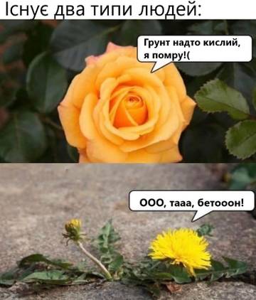 https://upforme.ru/uploads/001a/b7/a9/3/t794823.jpg