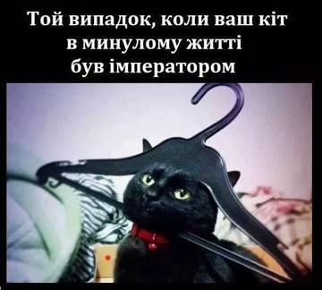 https://upforme.ru/uploads/001a/b7/a9/3/t799373.jpg