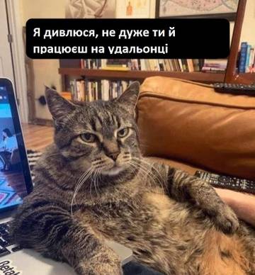 https://upforme.ru/uploads/001a/b7/a9/3/t81770.jpg