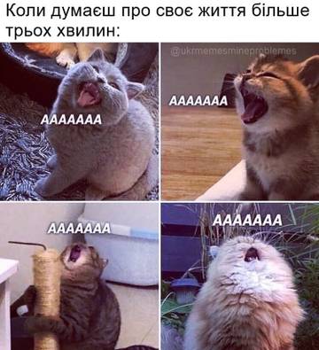 https://upforme.ru/uploads/001a/b7/a9/3/t826922.jpg