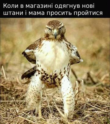 https://upforme.ru/uploads/001a/b7/a9/3/t85704.jpg