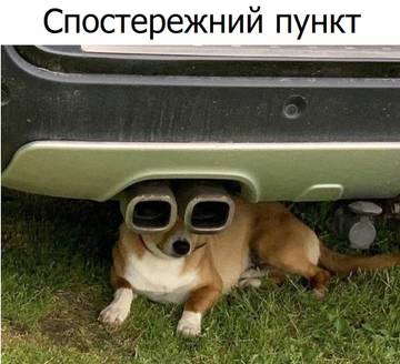 https://upforme.ru/uploads/001a/b7/a9/3/t909120.jpg