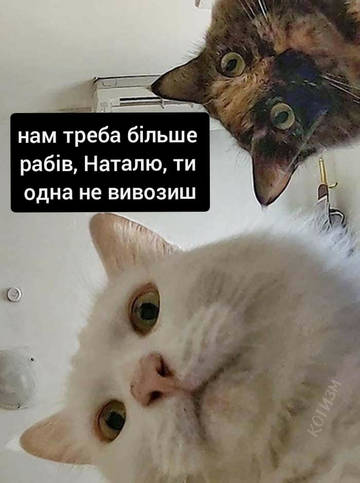 https://upforme.ru/uploads/001a/b7/a9/3/t919808.jpg
