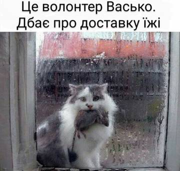 https://upforme.ru/uploads/001a/b7/a9/3/t935836.jpg