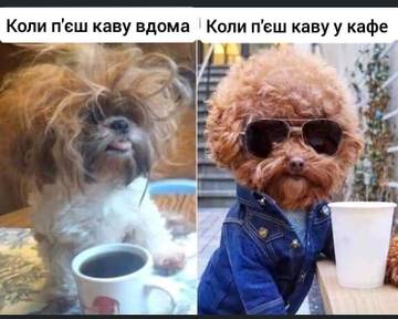 https://upforme.ru/uploads/001a/b7/a9/3/t953445.jpg