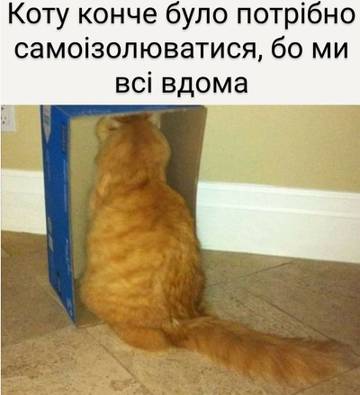 https://upforme.ru/uploads/001a/b7/a9/3/t961617.jpg